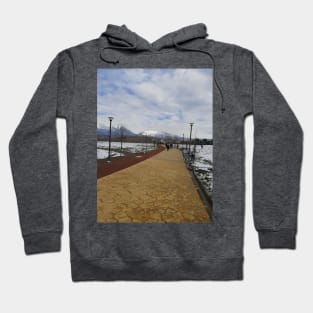 Snowy day in the park Hoodie